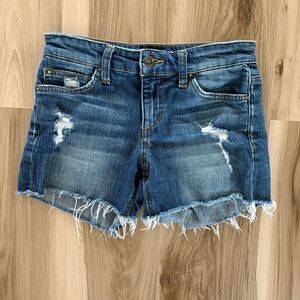 Joe's Jeans The Ozzie 4" Cut Off Short size 24 Blue Festival Boho Distressed